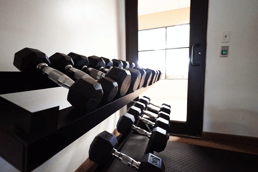 weights displayed on a weight rack